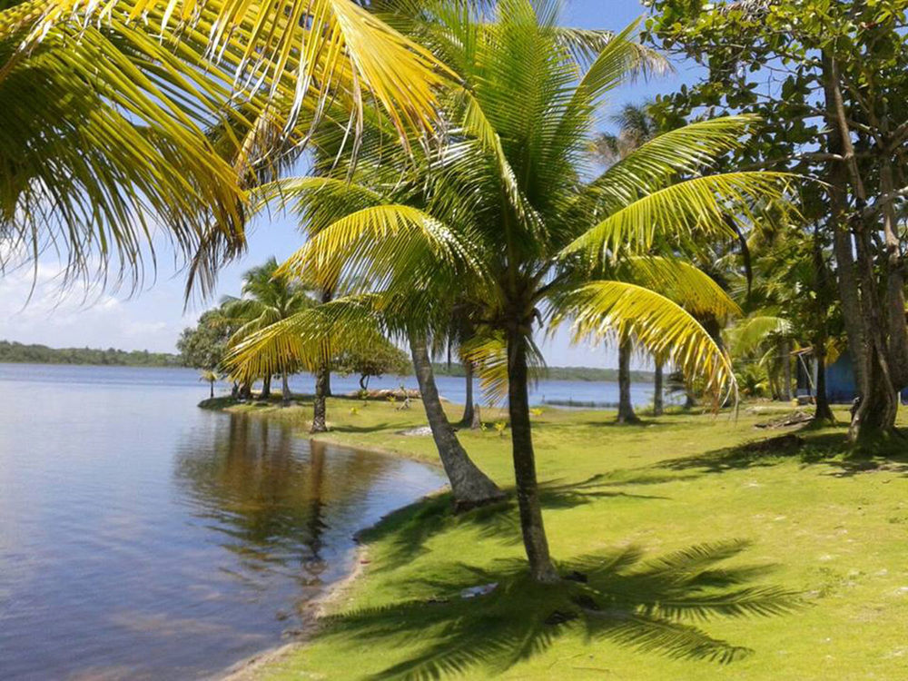 Htl Tubarao Hotel Barra Grande  Exterior foto